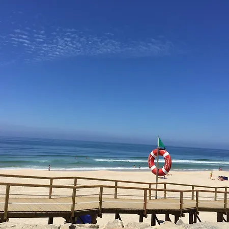 Live Vagueira *